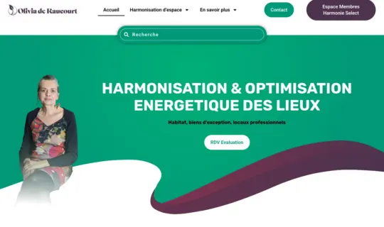 Page d'accueil du site de Développement Feng Shui