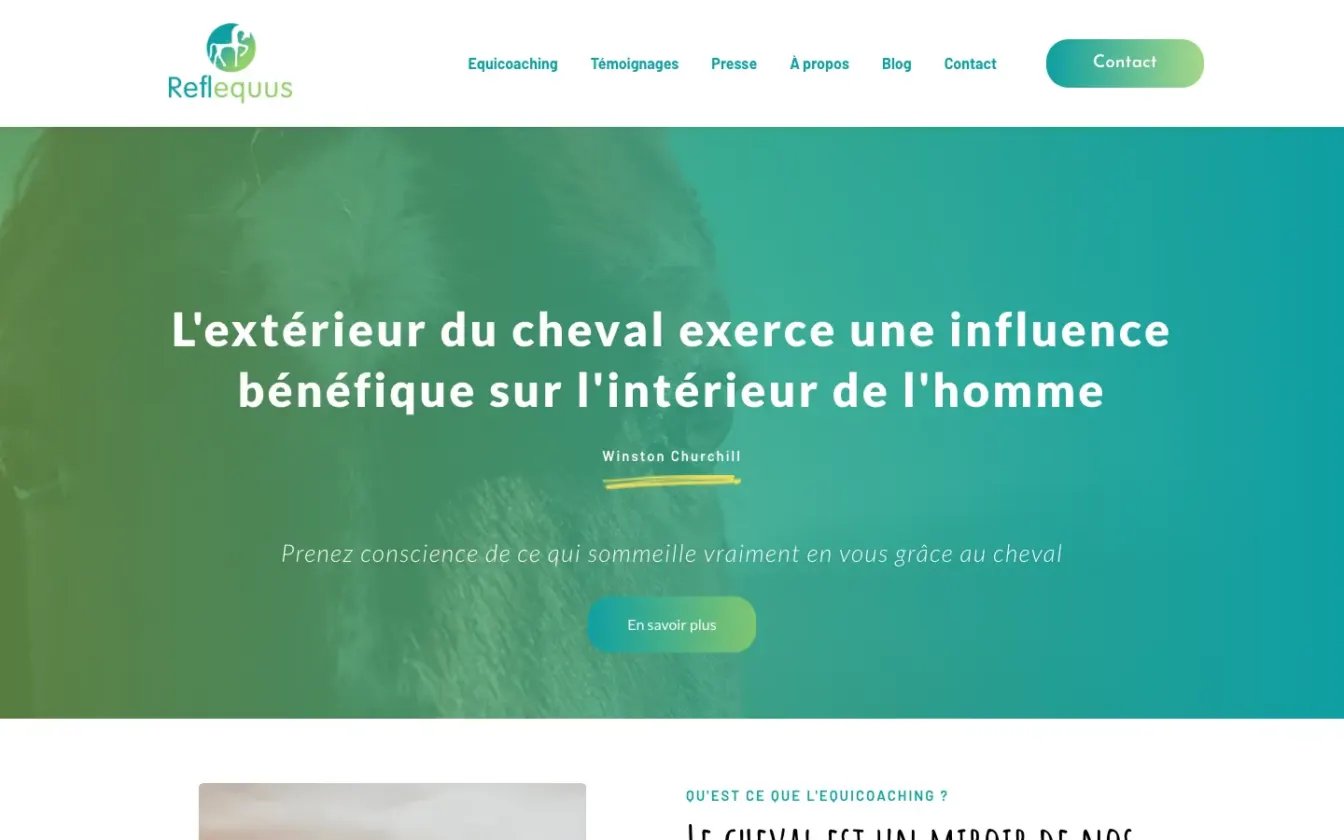 Page d'accueil du site de Reflequus