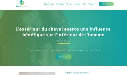 Page d'accueil du site de Reflequus